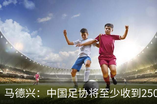 马德兴：中国足协将至少收到250万美元用于女足备战明年世界杯